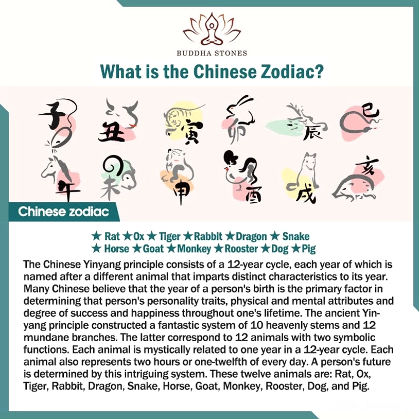 Chinese zodiac calendar infographic displaying all 12 animal signs with birth years from 1948-2031 and horse zodiac characteristics on white background with teal header