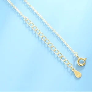 Sterling silver curb chain extension with lobster clasp and brand tag for Hetian jade peace buckle necklace