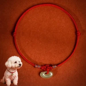 Red adjustable jade pet collar flat lay with small dog model showing size reference, red woven rope and jade charm on terracotta background